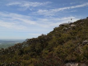 Mt Abrupt Summit