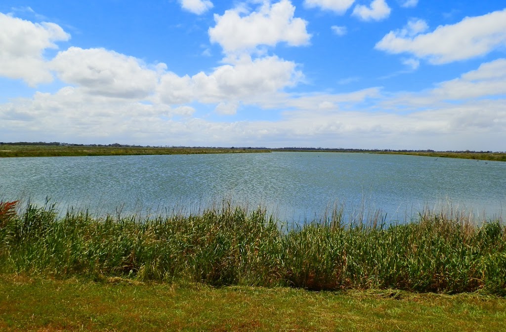 What's a nice sewage pond doing in a place like this?