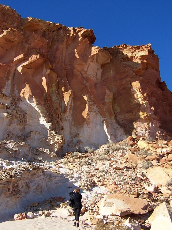 Rainbow Valley Rocks!