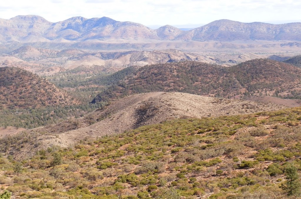 View across the Bunbinyunna, Elder and Red Ranges from Bridle Gap, Wilpena Pound, South Australia