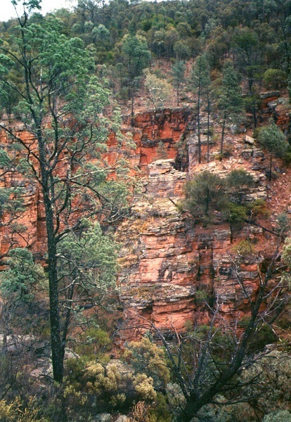 Red Rocks, Grampians, Victoria