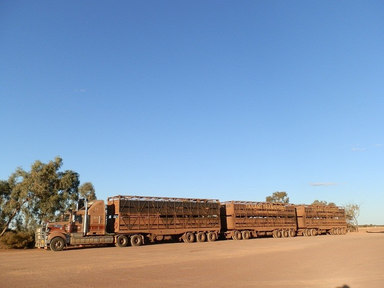 Road Train at Cadney Park Roadhouse, South Australia