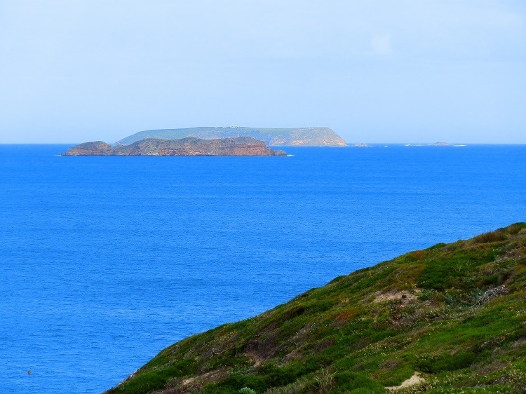 Althorpe Islands from Stenhouse Bay Lookout