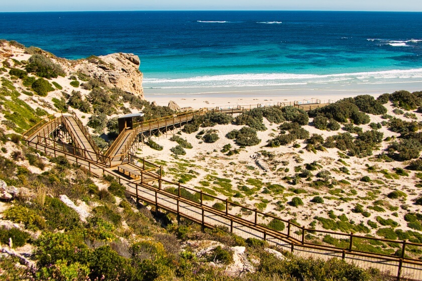 Seal Bay Walkway