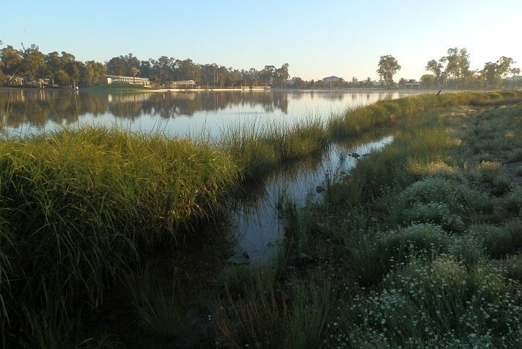 Early morning at Lake Victoria, Shepparton, Victoria