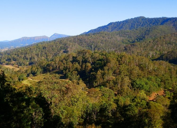 Border Loop Lookout, NSW