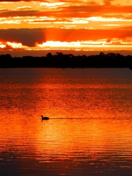 The Sky Lights Up at Lake Cullulleraine