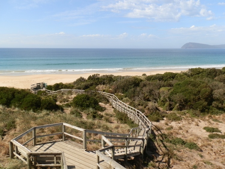 Adventure Bay and Rookery Viewing platform from Truganini Lookout, The Neck, Bruny Island