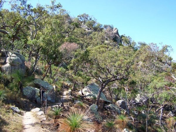 Magnetic Island walking track Nelly Bay to Arcadia