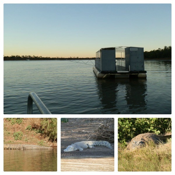Timber Creek Pontoon Loo with a selection of Victoria River Crocodiles!