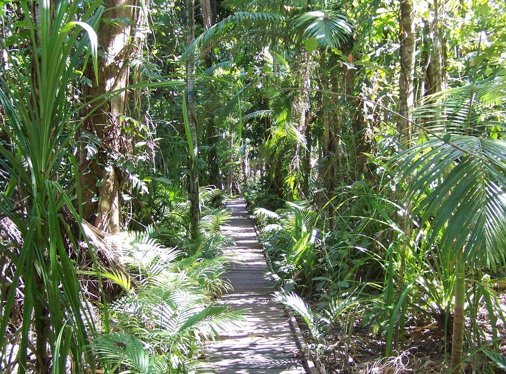 Rainforest boardwalk to Centenary Lakes
