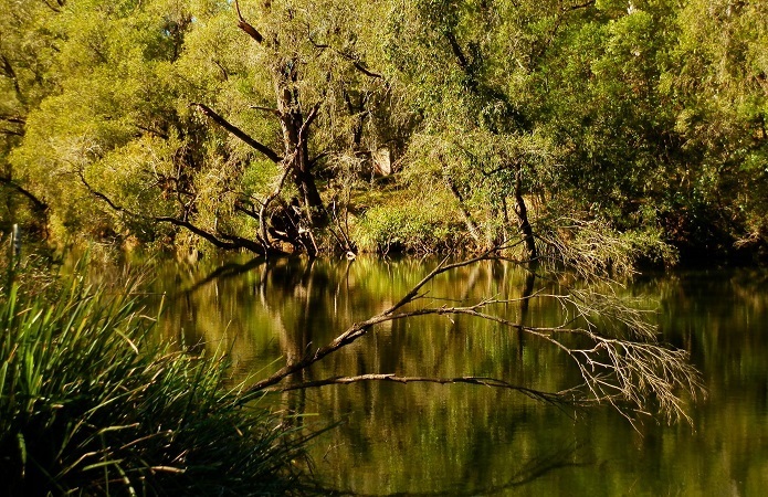 Tooloom Creek - Upstream, via Woodenbong, New South Wales
