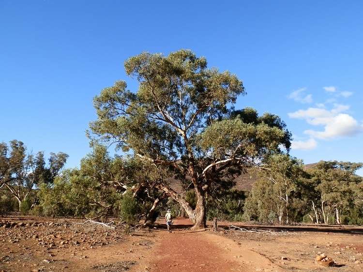 Bridle Gap Trail, Wilpena Pound, South Australia