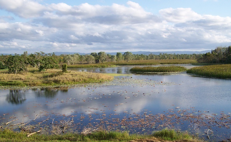 D'you reckon there'd be snakes at the Tyto Wetlands, Ingham, Queensland?