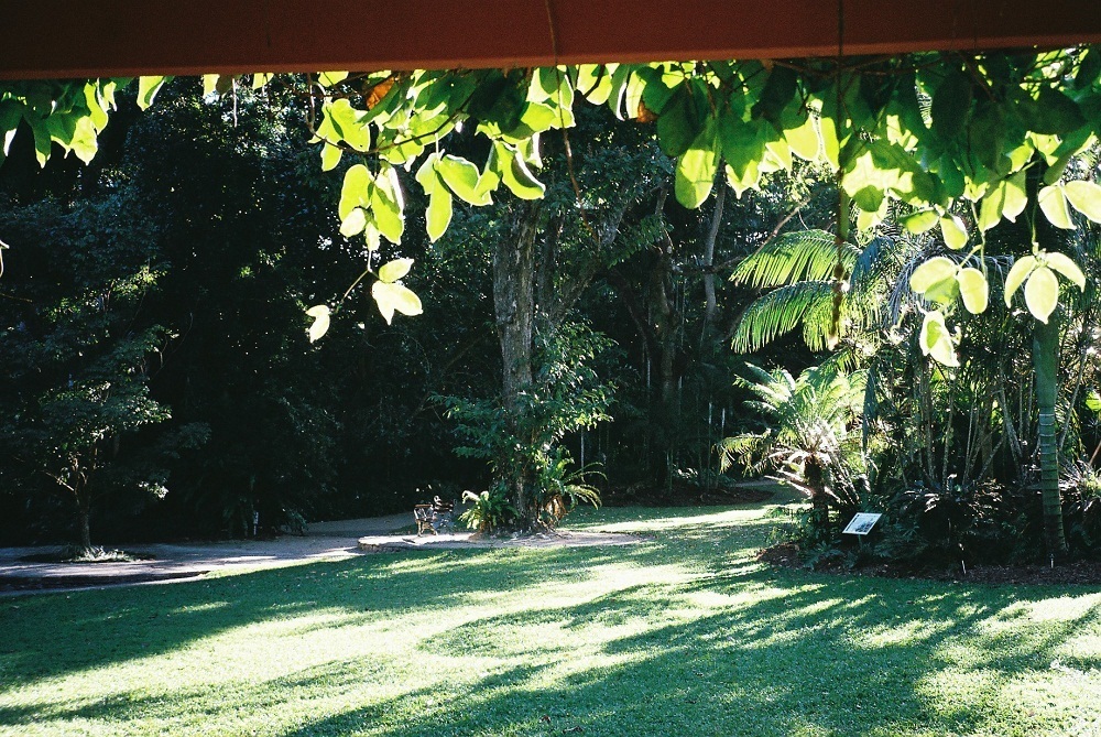 View from Loo, Cairns Botanic Gardens