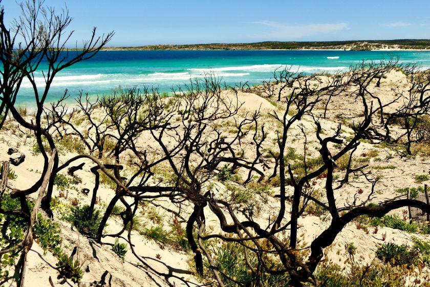 Vivonne Bay with Bushfire Damage