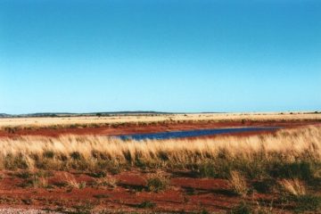 White Cliffs Waterhole, Outback New South Wales