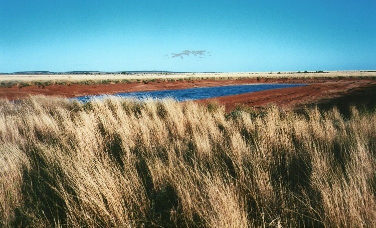 White Cliffs Landscape, New South Wales
