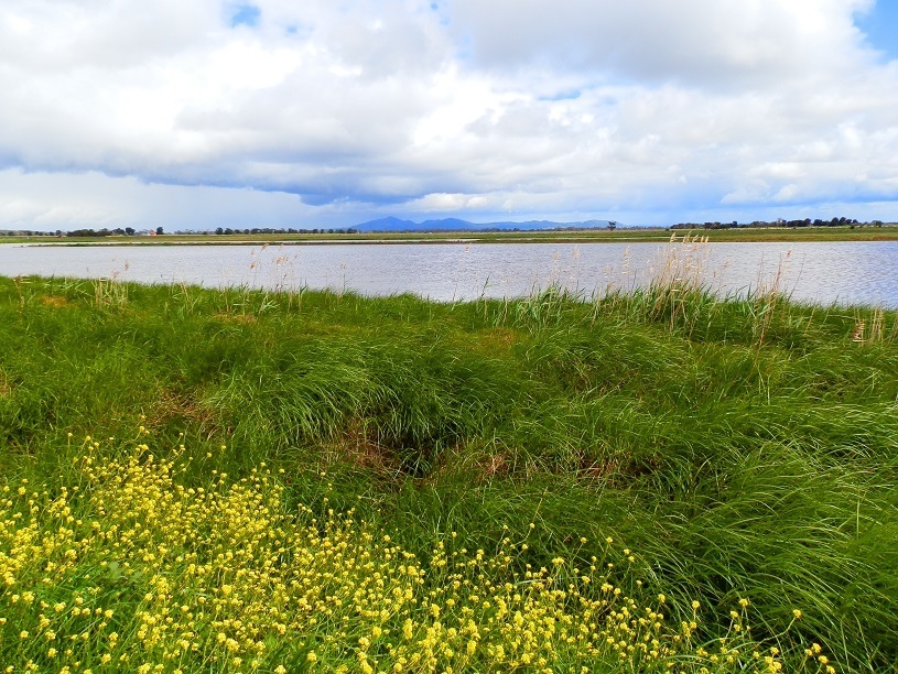 Rain over the You Yangs from Werribee, Victoria, Australia