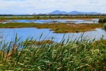 Western Treatment Plant with Avalon Airport and You Yangs in the distance, Victoria, Australia