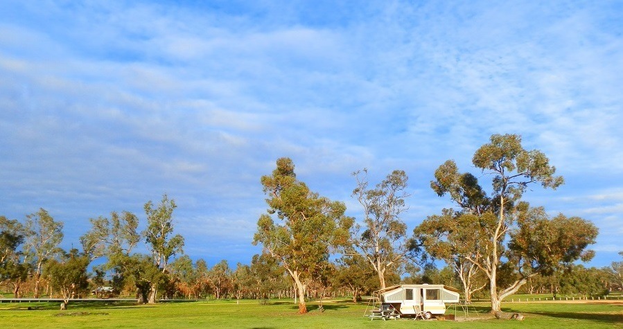 Campsite, Wonga Campground