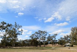 Wonga Campground Scenic Loo